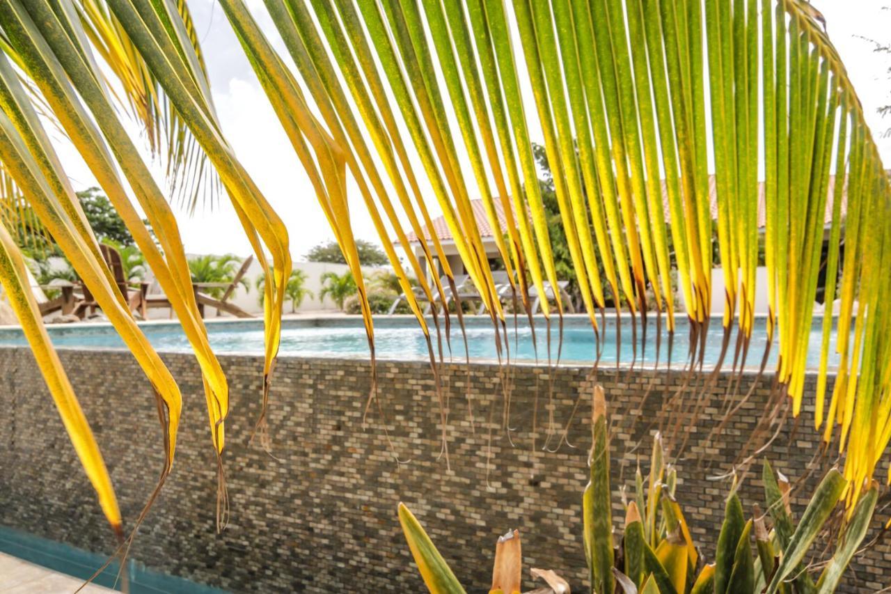 Abc Lodges Curacao 빌렘스타트 외부 사진