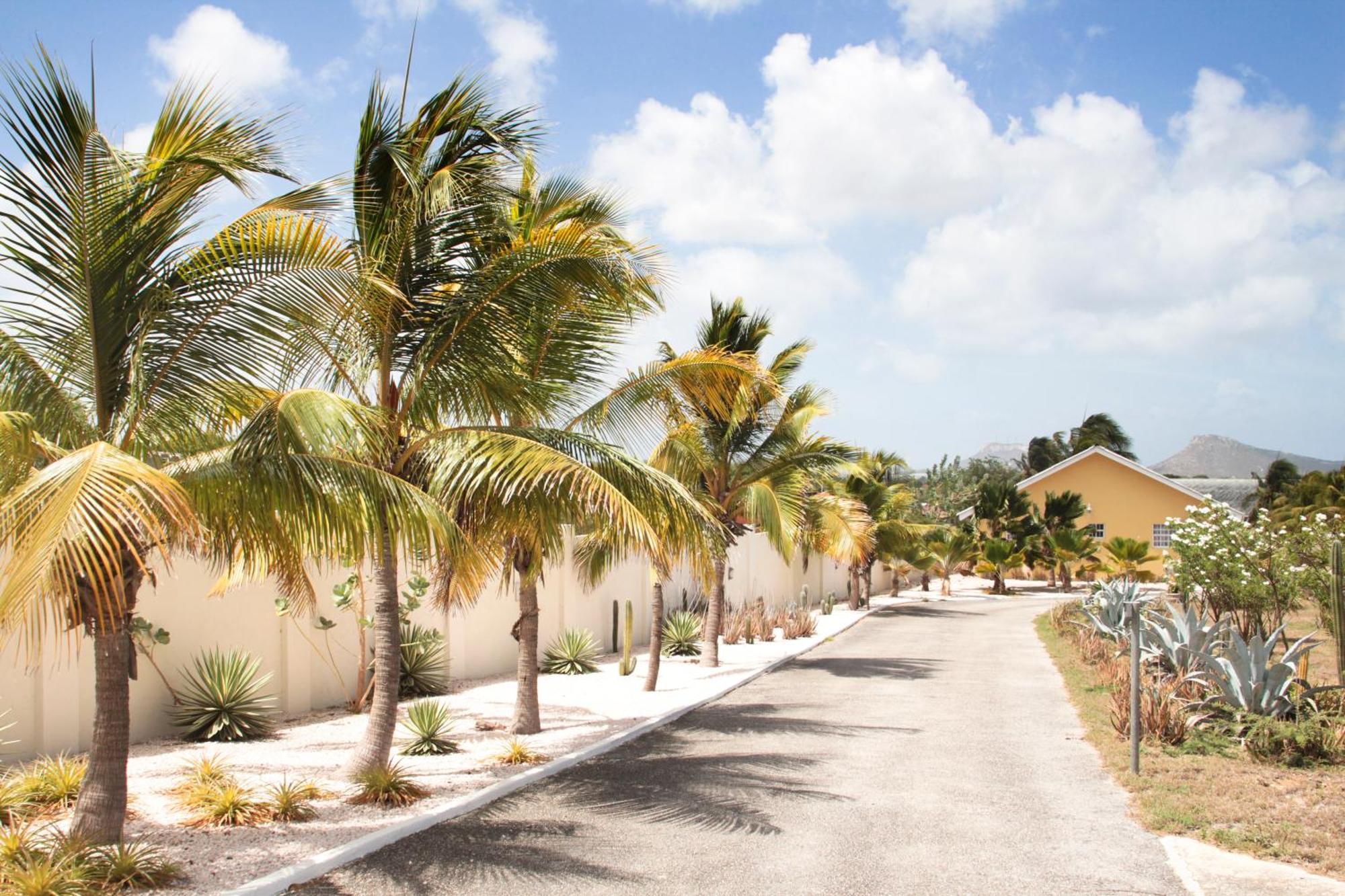 Abc Lodges Curacao 빌렘스타트 외부 사진